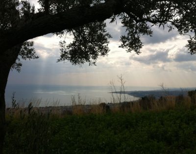 Appartamento In Zona Centrale A Due Passi Dal Mare