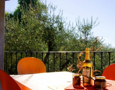 Ampio Appartamento In Villa Con Terrazza E Piscina