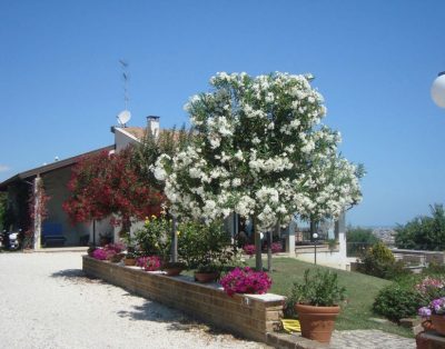 Appartamenti In Villa Con Posizione Panoramica Sul Mare