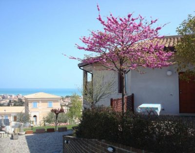 Appartamenti In Villa Con Posizione Panoramica Sul Mare