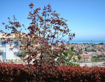 Appartamenti In Villa Con Posizione Panoramica Sul Mare