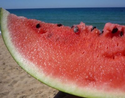 Villa 11 Posti, Piscina, Torre Guaceto, Wifi Internet