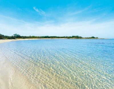 Villa 11 Posti, Piscina, Torre Guaceto, Wifi Internet