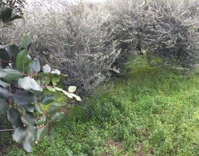 Maison de 150 m² à Giardini-Naxos (Messine), Via Fontana Serro