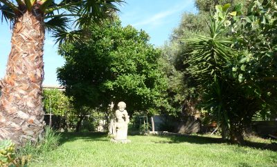 Semplicità e Comfort 4