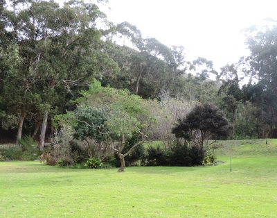 Panorama Guest House