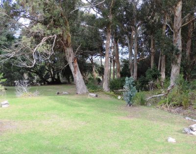 Panorama Guest House