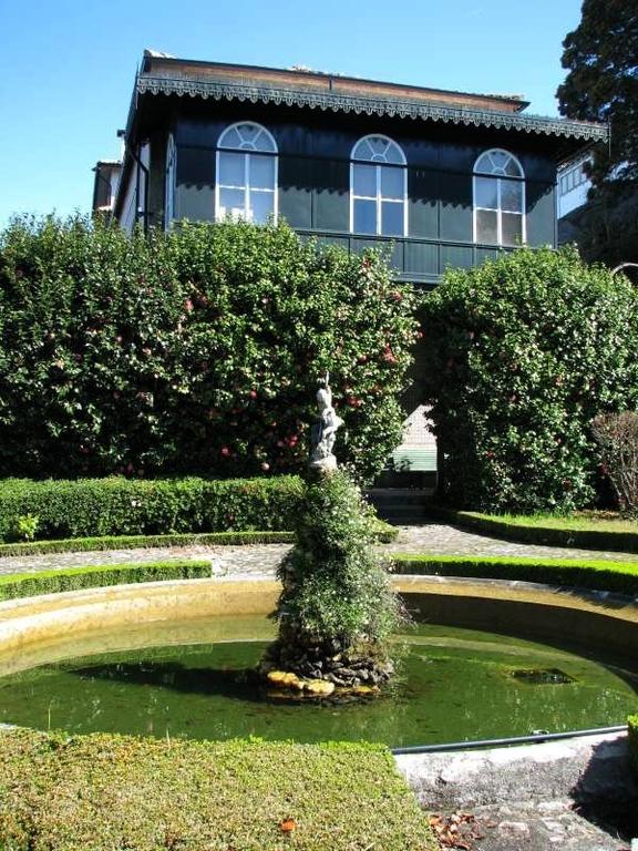 Sra. Andrelina Odália