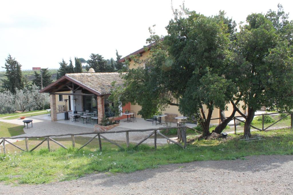 Maria Regina Bortolato